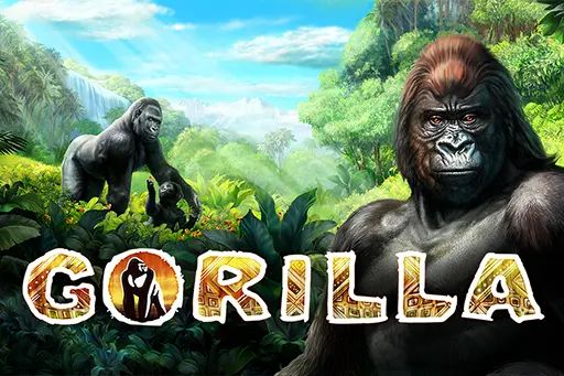 Gorilla